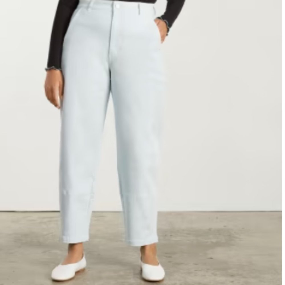 Everlane Utility Barrel Pant - Sky Blue - Tall